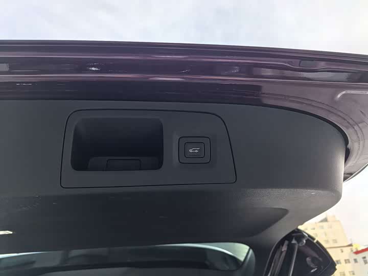 Фото 27 - Buick GL8 Century