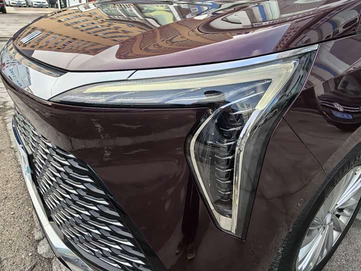 Фото 31 - Buick GL8 Century