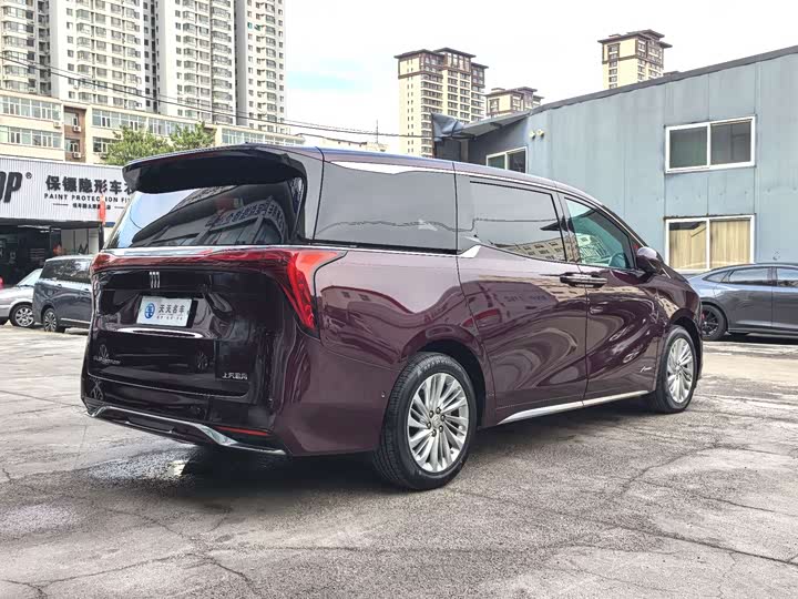 Фото 5 - Buick GL8 Century