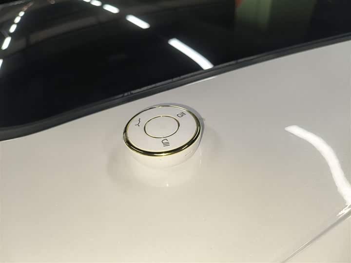 Фото 15 - Hozon L