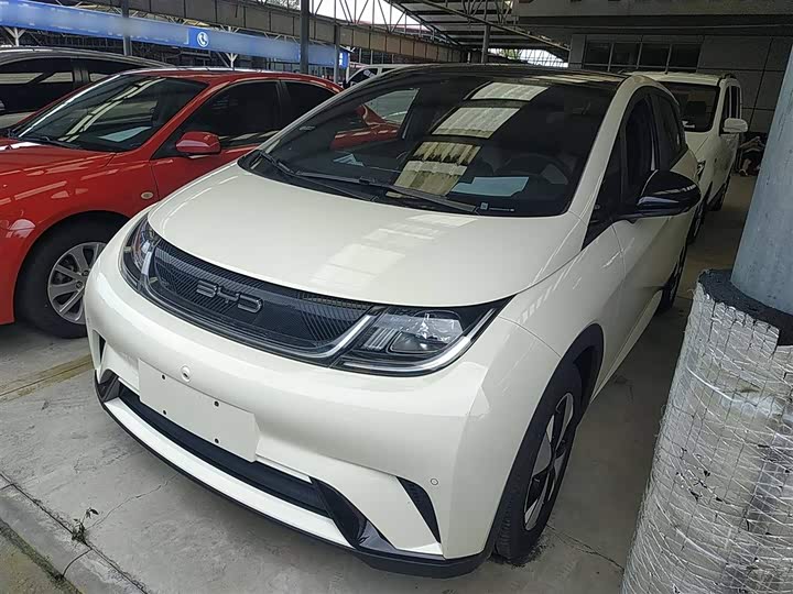 Фото 1 - BYD Dolphin