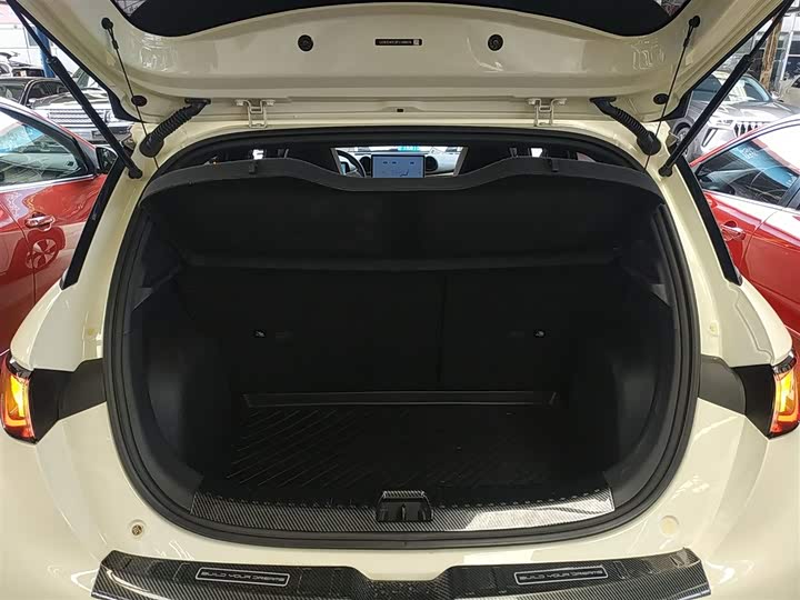 Фото 19 - BYD Dolphin