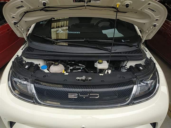 Фото 20 - BYD Dolphin