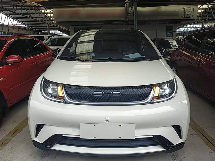 Фото 3 - BYD Dolphin