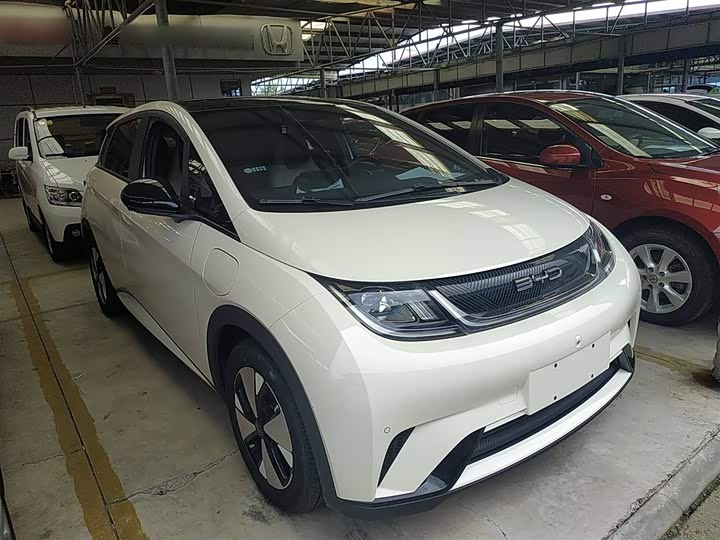 Фото 4 - BYD Dolphin