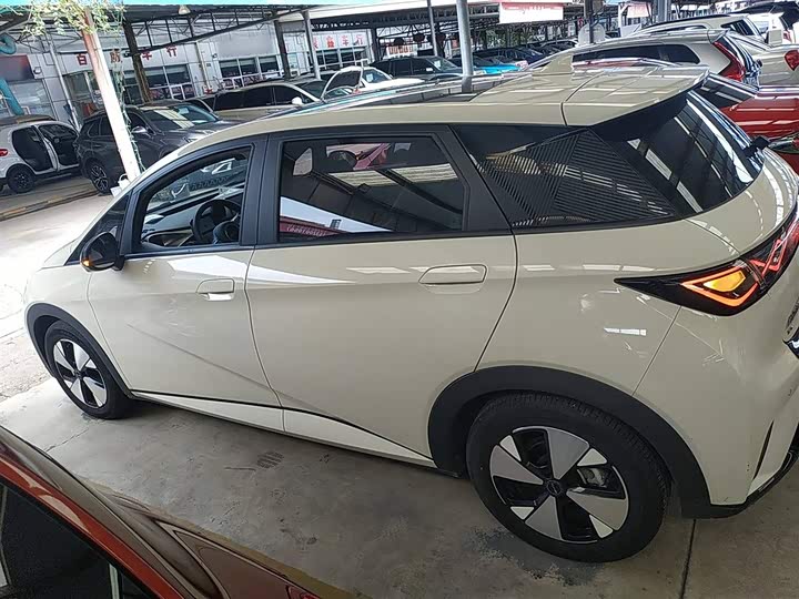 Фото 5 - BYD Dolphin