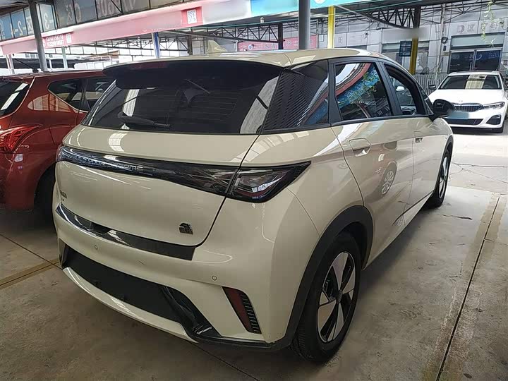 Фото 7 - BYD Dolphin