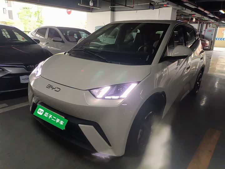 Фото 2 - BYD Seagull