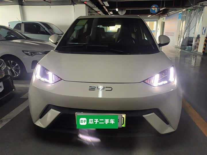 Фото 3 - BYD Seagull