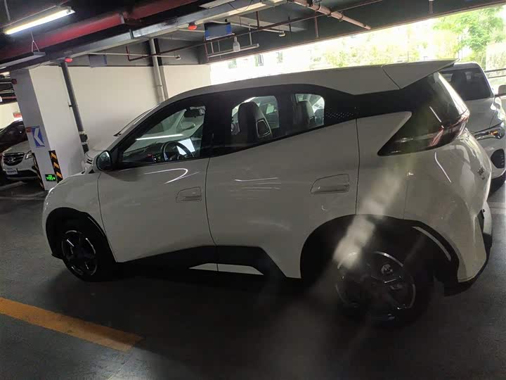 Фото 5 - BYD Seagull