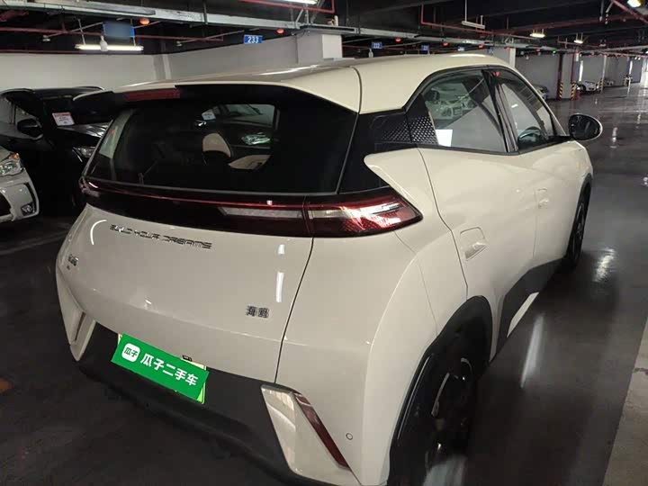 Фото 7 - BYD Seagull