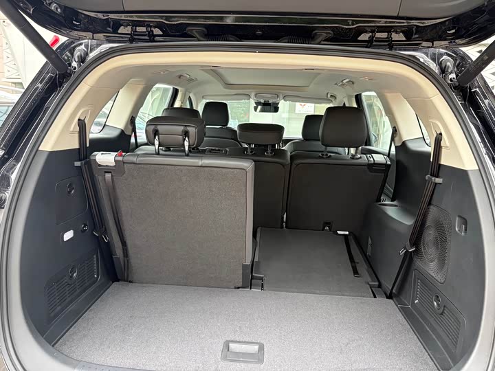 Фото 10 - Hongqi HS7 Hybrid