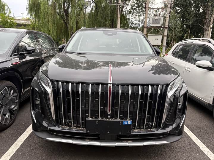 Фото 2 - Hongqi HS7 Hybrid
