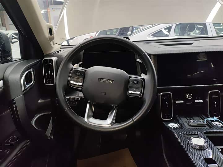 Фото 11 - Haval Dargo