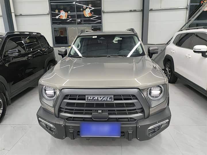 Фото 3 - Haval Dargo