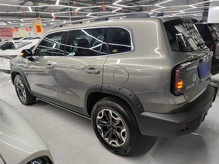 Фото 5 - Haval Dargo