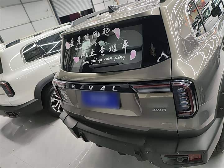 Фото 6 - Haval Dargo