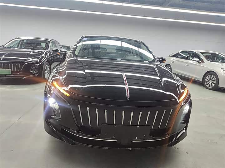 Фото 3 - Hongqi E-QM5