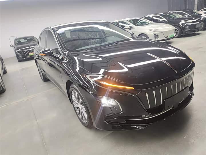 Фото 4 - Hongqi E-QM5