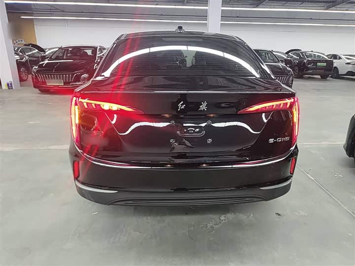 Фото 6 - Hongqi E-QM5