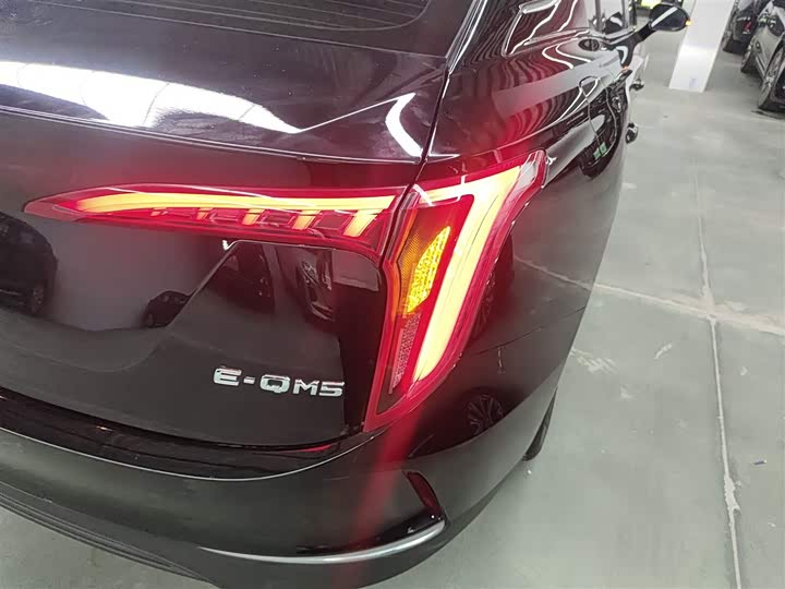 Фото 8 - Hongqi E-QM5