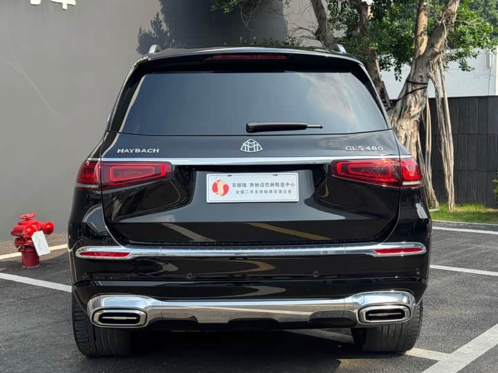 Фото 16 - Mercedes-Benz Maybach GLS