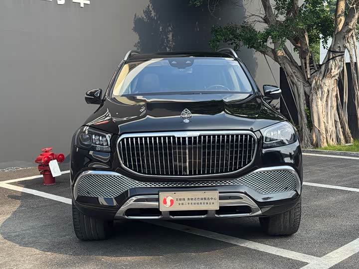 Фото 2 - Mercedes-Benz Maybach GLS