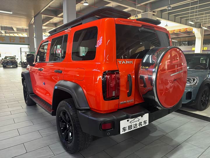 Фото 9 - Tank 300