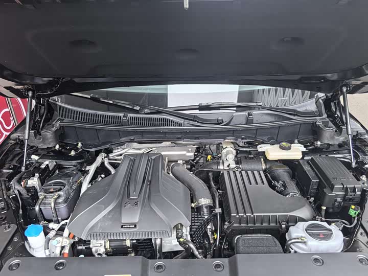 Фото 5 - Hongqi HS7 Hybrid