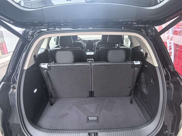 Фото 9 - Hongqi HS7 Hybrid