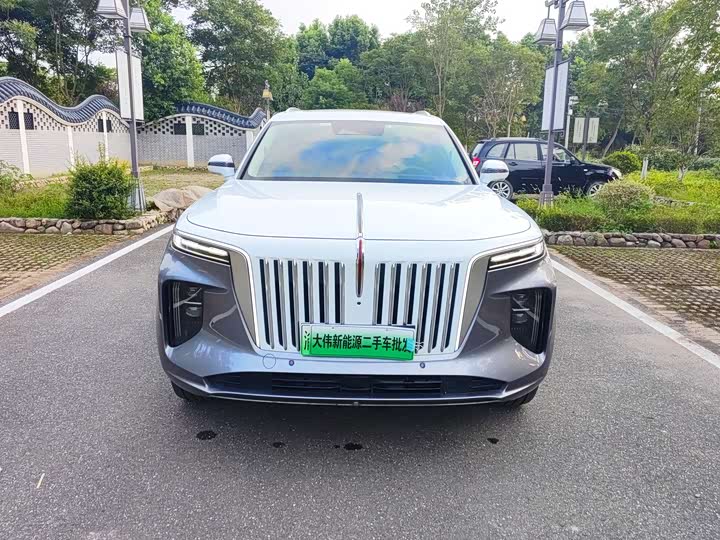 Фото 2 - Hongqi E-HS9
