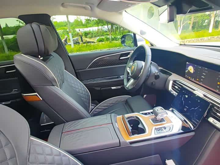 Фото 33 - Hongqi E-HS9