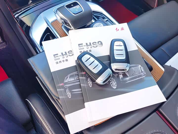 Фото 34 - Hongqi E-HS9