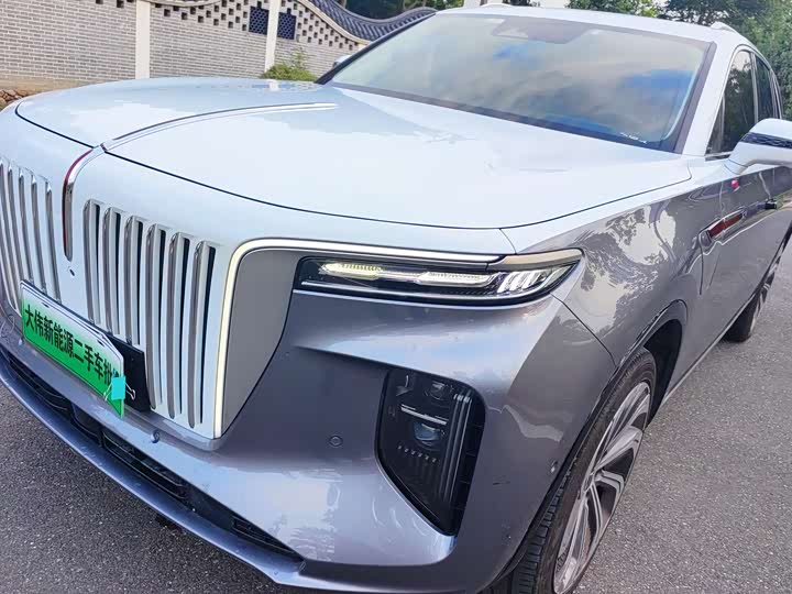 Фото 6 - Hongqi E-HS9