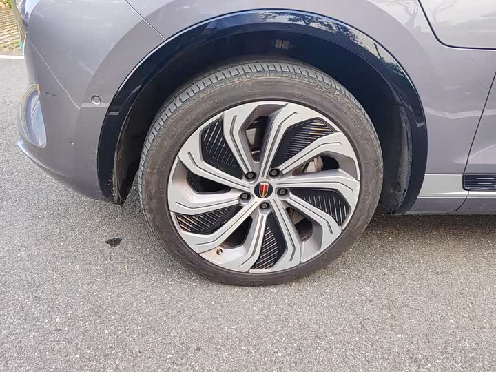 Фото 7 - Hongqi E-HS9