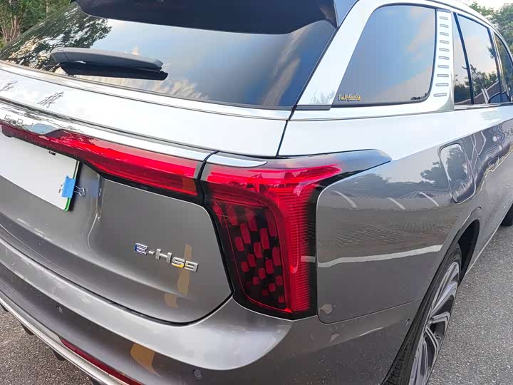 Фото 8 - Hongqi E-HS9