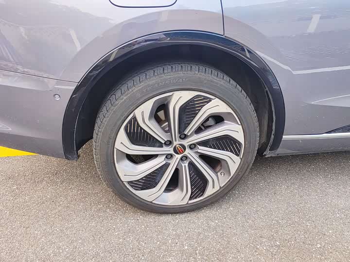 Фото 9 - Hongqi E-HS9