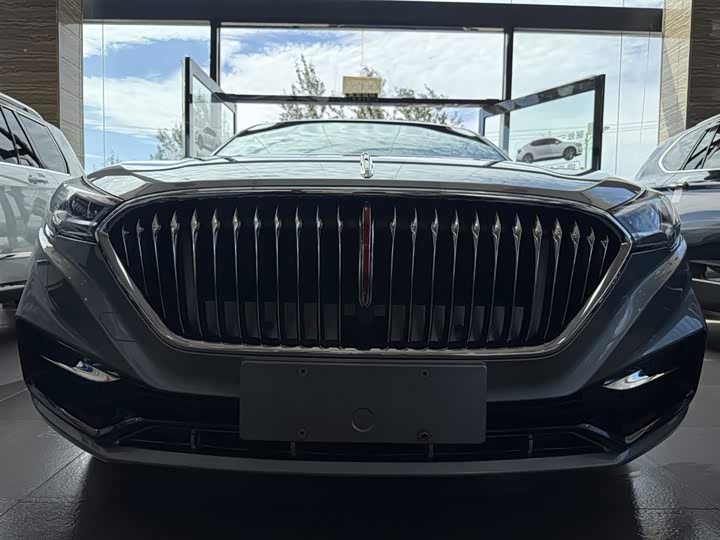 Фото 3 - Hongqi H5