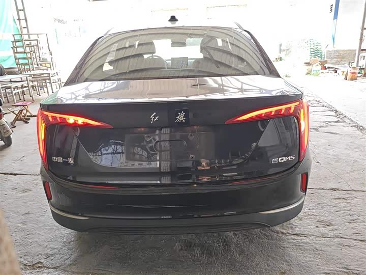 Фото 6 - Hongqi E-QM5