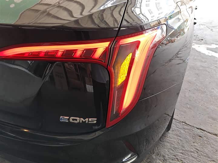 Фото 8 - Hongqi E-QM5