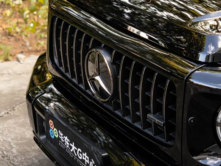 Фото 9 - Mercedes-Benz G-Class