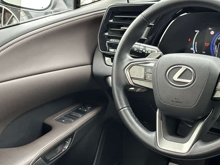 Фото 14 - Lexus RX Hybrid