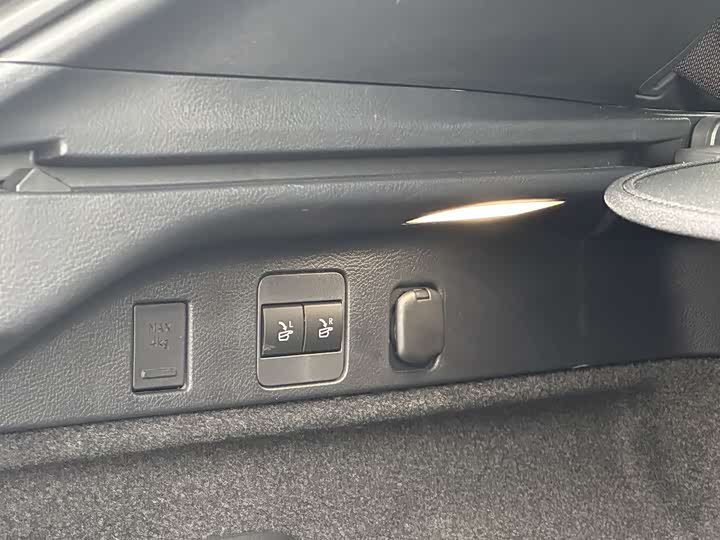 Фото 24 - Lexus RX Hybrid