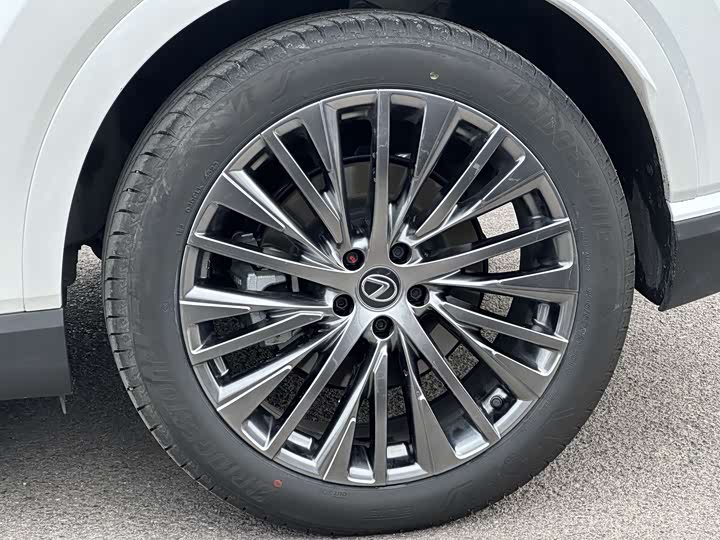 Фото 28 - Lexus RX Hybrid