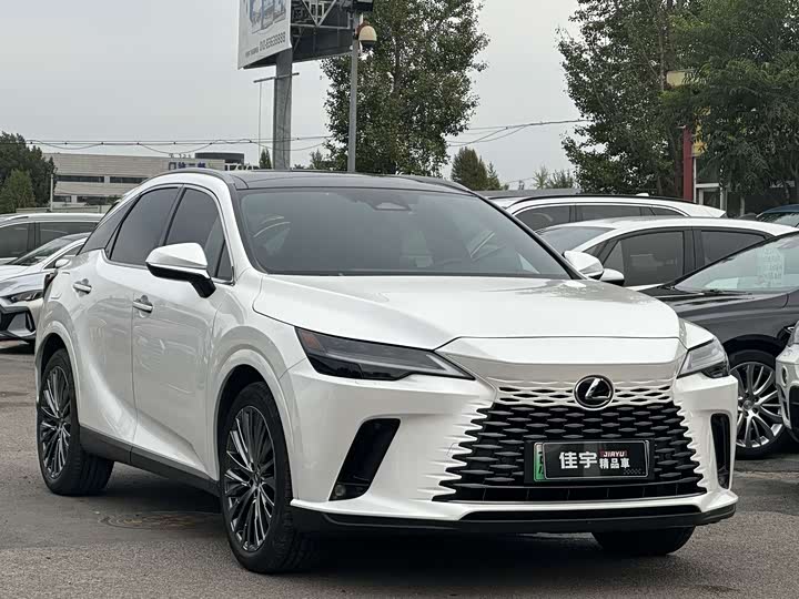 Фото 3 - Lexus RX Hybrid