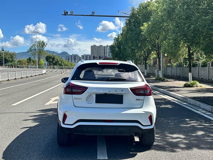 Фото 6 - Geely Vision X3