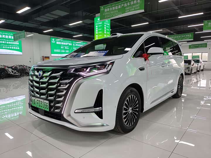 Фото 1 - Denza D9