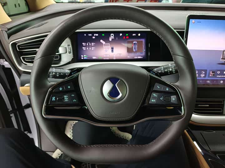 Фото 10 - Denza D9