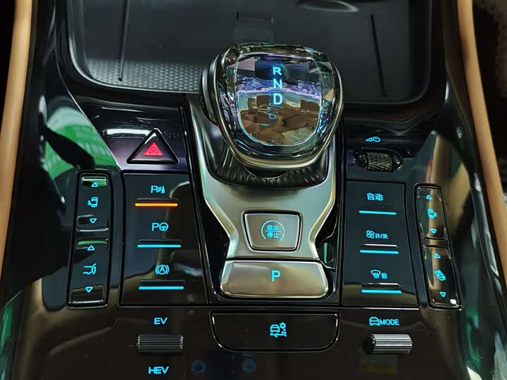 Фото 13 - Denza D9