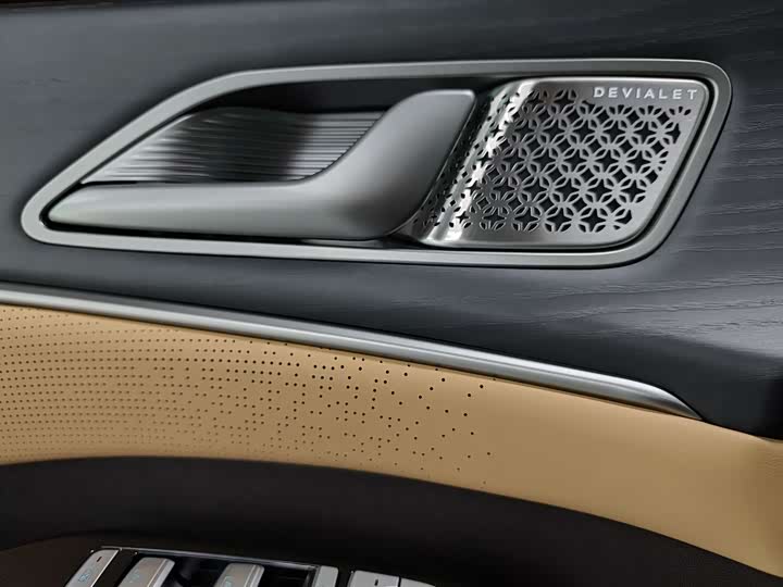 Фото 15 - Denza D9